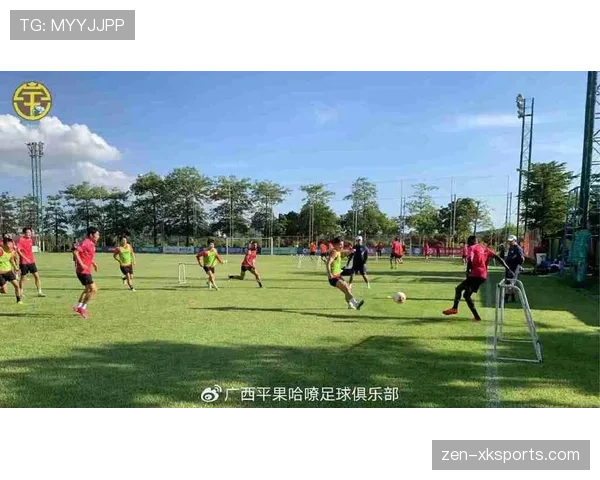 南京城市调整战术部署以适应中甲赛场节奏 南京城市调整战术部署以适应中甲赛场节奏